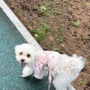 클럽미즈라미체의원 이미지