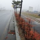 보라비치모텔 Daum카페