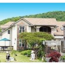 관광펜션 곰 이미지