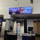 CENTRAL TOWER | [뉴질랜드 오클랜드] 스카이타워 전망대 후기 sky tower