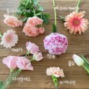 커밍업로즈