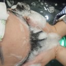 얼굴팩부터 힐링 찰스리헤어테크 아산배방점 연우디자이너 힐링스파 후기