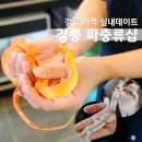 파충류카페 비비안 | 파충류샵 체험 강릉 실내데이트 코스 파충류카페 비비안