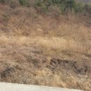 무주읍197 이미지