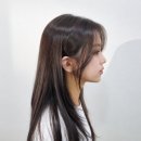 세피아 - 16276 | 포그세피아 컬러로 톤다운 후기