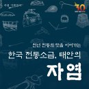 고남패총박물관 Daum카페