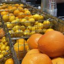 7490 | [수원 / 스타필드] 수원 스타필드 필수 생과일 착즙 주스 “아메리칸 트레일러”내돈내산 후기