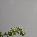 새신바람 이미지