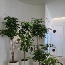이슬향기플라워가산디지털단지역 | 아화ㅣ수성구 꽃집, 미술관이야 꽃집이야? 인생 꽃다발 만나고 온 찐후기