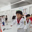 동아대 KAT 태권도 이미지