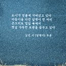 김빈「달팽이」 Daum카페