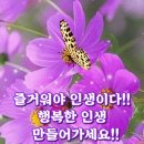 아재개그~웃으면 아재...ㅎㅎㅎ 이미지