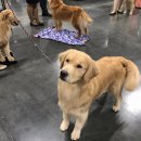 부마클럽 이미지