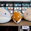 설악도서관 (3층) 이미지