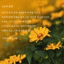 온천중앙교회앞 이미지