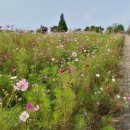 배곧생명공원 이미지