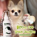 플란다스 | 강아지 귀청소, 자극 없이 쓰기 좋았던 플란다스 이어클리너 솔직 후기🐾🐶