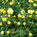 우경이네 이미지