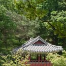 동학농민혁명 유적지 이미지