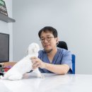 월드펫동물병원 | 홍석휘 원장님/ 월드펫동물병원/ 한국