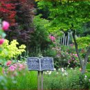 장미정원 이미지