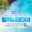 (주)트래블신나라