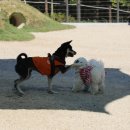 강북동물병원 이미지