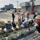 고정초등학교 이미지