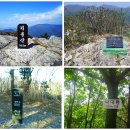 용화리 경로당 | [영천]기룡산(騎龍山,961m) 등산지도