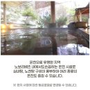 GS25 봉천번영 | [GS홈쇼핑]새하얀 설경 순백의 북해도