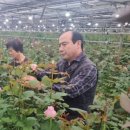 장미산업 이미지