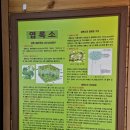 경주보리명가 이미지