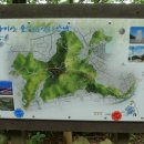 몰운대초(학교담장) 이미지