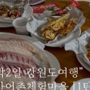 경포배오징어 이미지