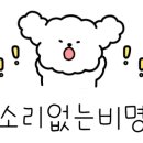 강릉농자재마트 네이버블로그