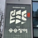 승승장어