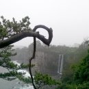 제주 서귀포 정방폭포(Jeongbang Pokpo Falls) 이미지