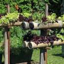 수직의 정원 이미지