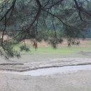 산정호수파크텔 이미지