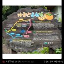 소로3-대동47 | [대동여탕지도♨️ #21] &#39;마금산원탕보양온천&#39; 탐험 일지