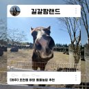 백마정비 | 제주 여행 추천 길갈팜랜드 동쪽 가볼만한 곳 동물먹이주기 체험 내돈내산 솔직후기