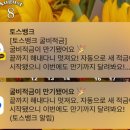 버즈노래연습장 이미지