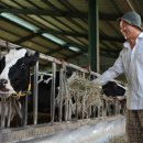 상하주곡목장 이미지