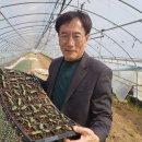 양촌농장 이미지