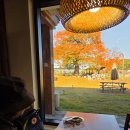 한방소머리국밥 이미지