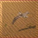 좋은삶만들기 이미지