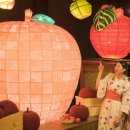 청산 단풍나무길 이미지