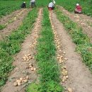 구산농장 이미지