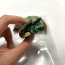 쿠키집(COOKIE ZIP) 이미지