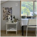 스테이브릴 이미지